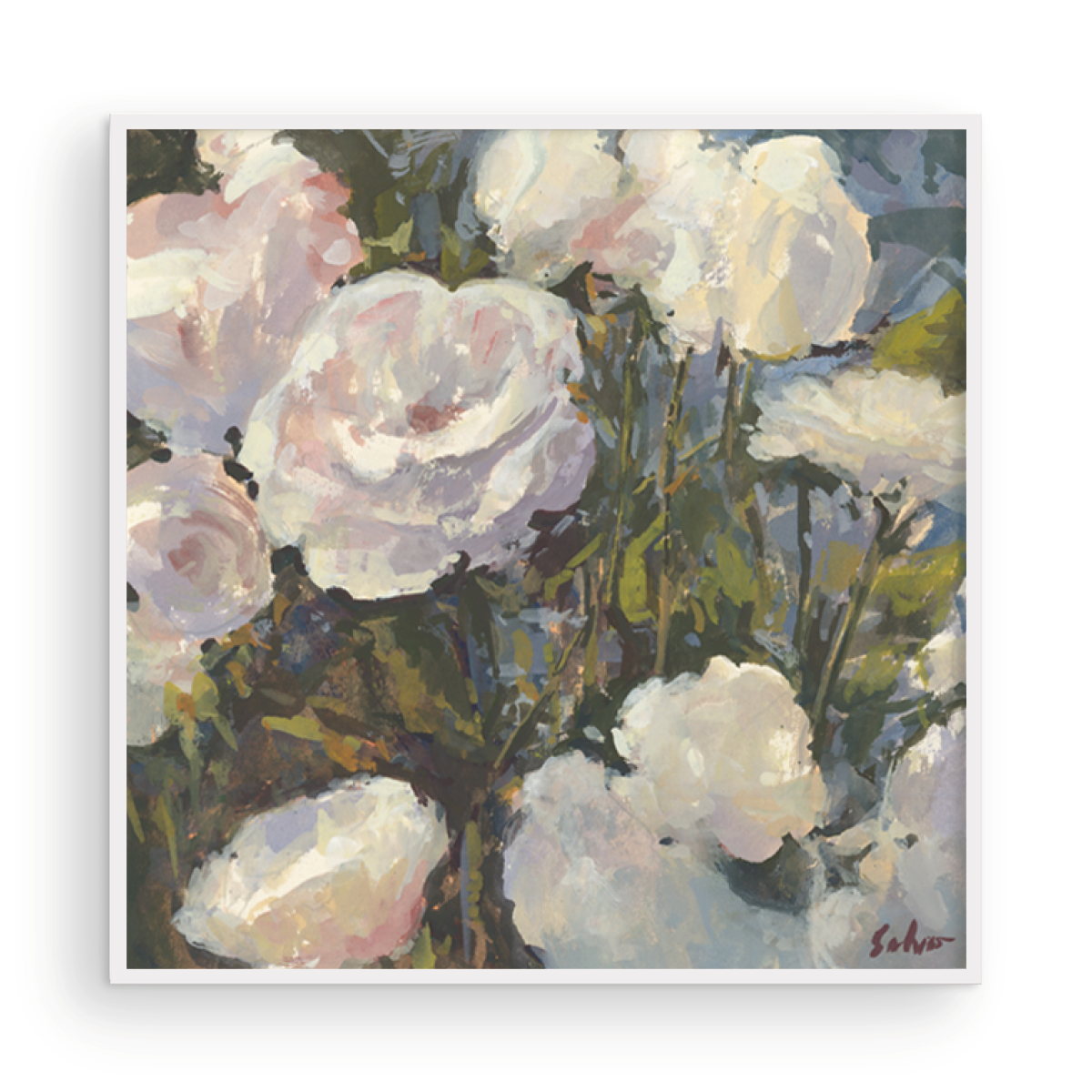 August White Roses