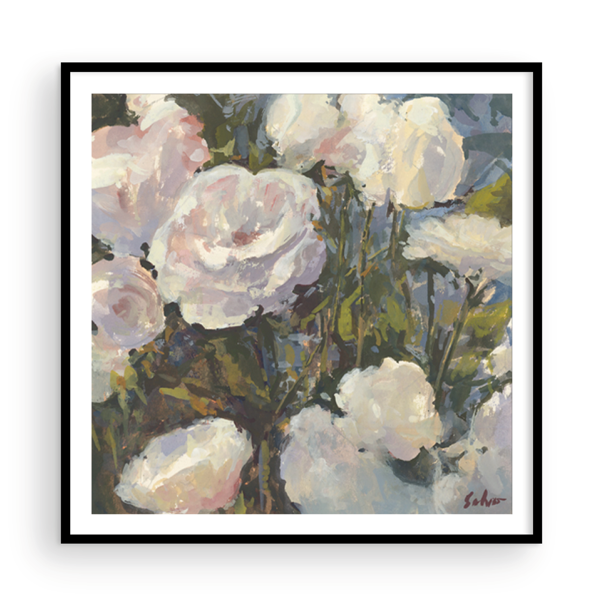 August White Roses