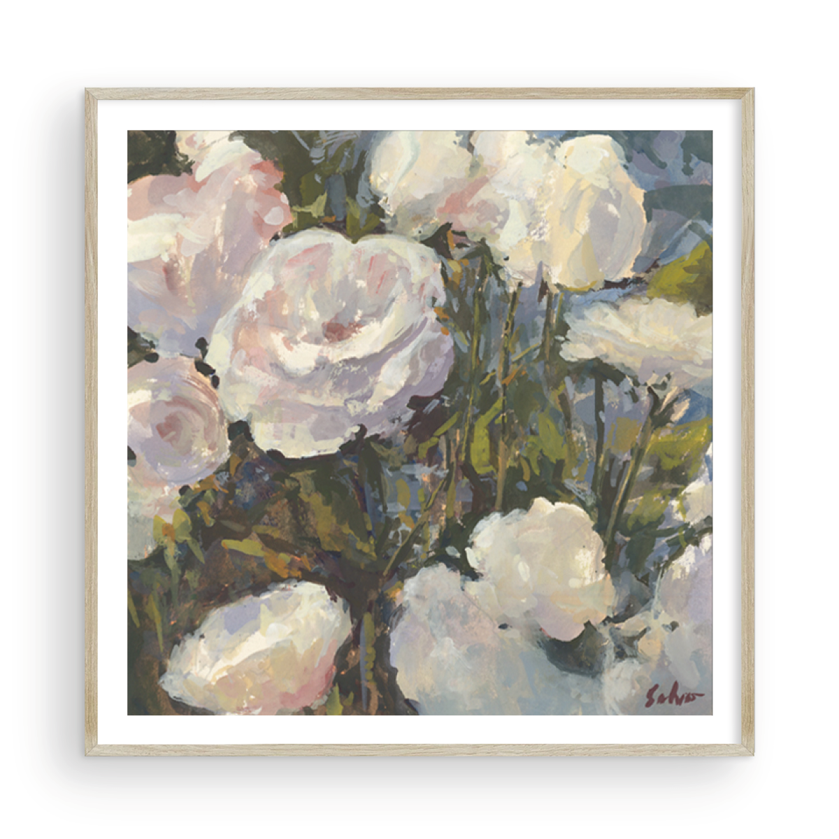 August White Roses